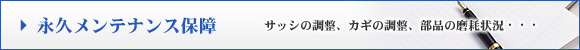 iveiXۏ